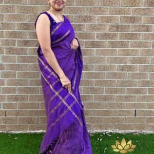 Tamara Vintage checks - stunning saree with Rudraksha zari gap border