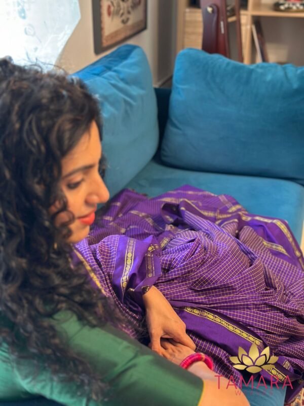 Tamara Vintage checks - stunning saree with Rudraksha zari gap border - Image 3