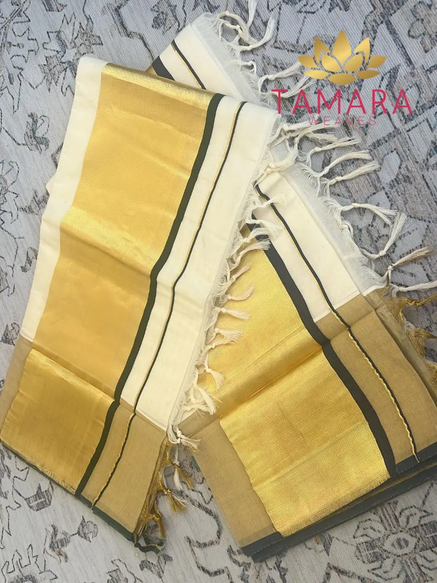 Tamara exclusive Nyla Usha inspired Wide Border saree - Image 2
