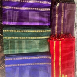 Tamara Vintage checks - stunning saree with Rudraksha zari gap border