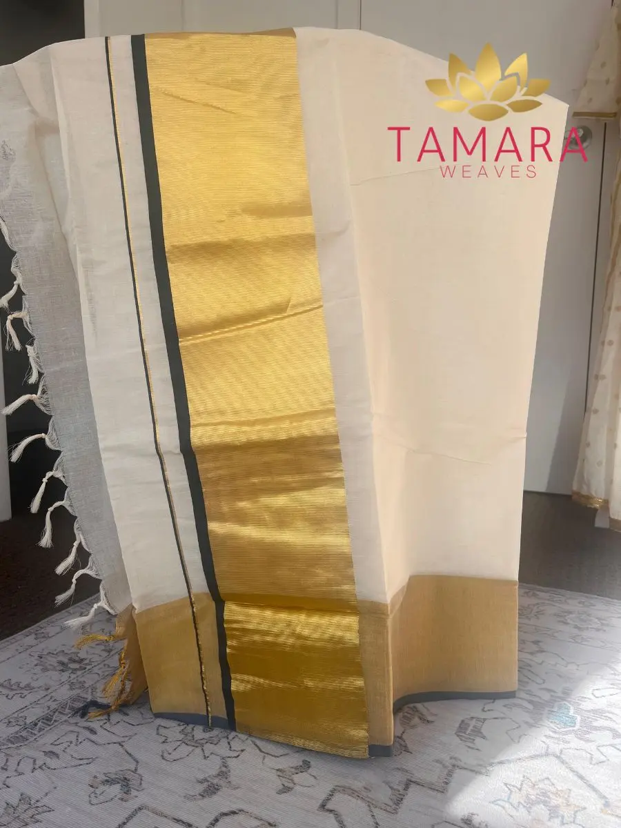 Tamara exclusive Nyla Usha inspired Wide Border saree - Image 3