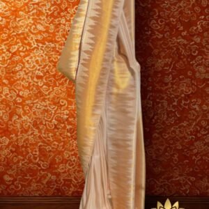 Tamara Minnal (Lightning) Saree - inspired by Parvathy Thiruvothu