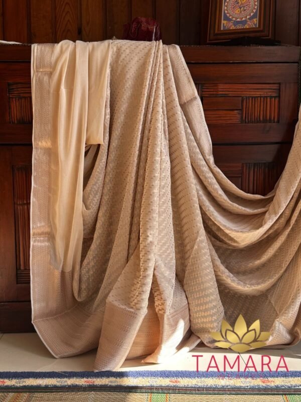 Tamara Semi Banarasi Chiffon Saree - Beige or biscuit shade - Image 5