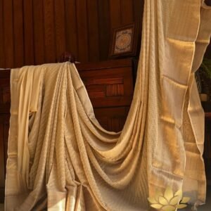 Tamara Semi Banarasi Chiffon Saree - Beige or biscuit shade