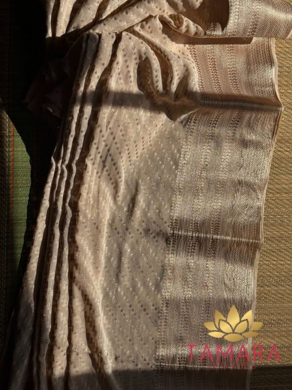 Tamara Semi Banarasi Chiffon Saree - Beige or biscuit shade - Image 3