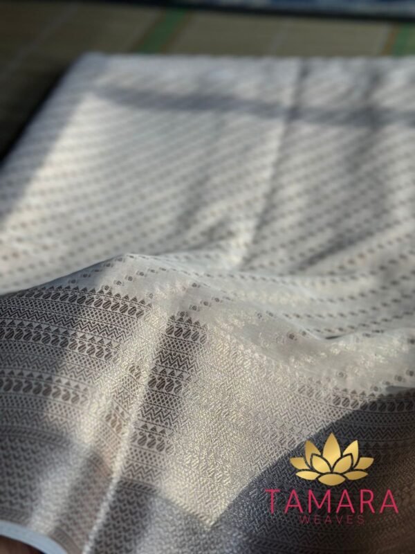 Tamara Semi Banarasi Chiffon Saree - Beige or biscuit shade - Image 2