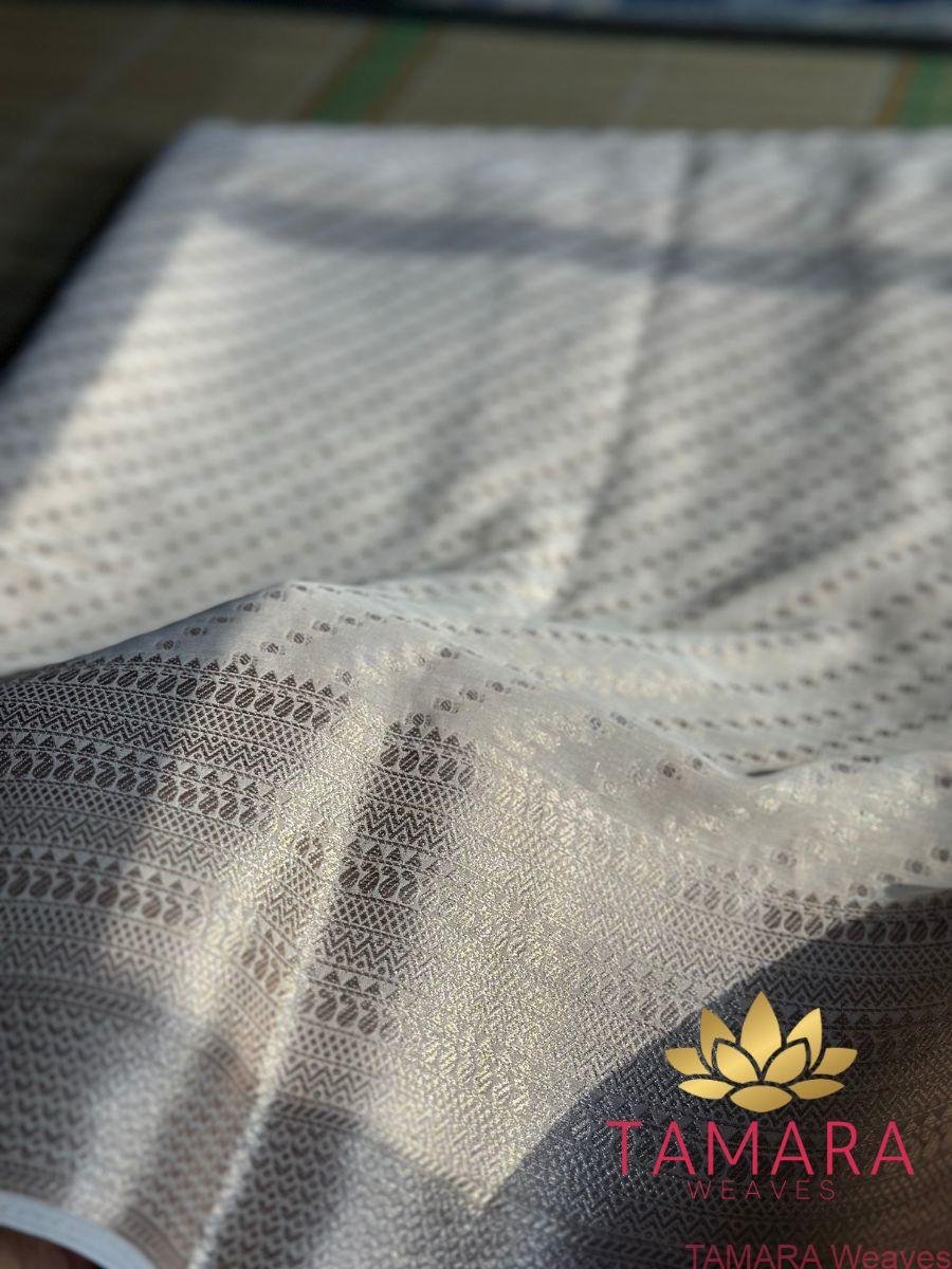 Tamara Semi Banarasi Chiffon Saree - Beige or biscuit shade - CH01 - Image 2