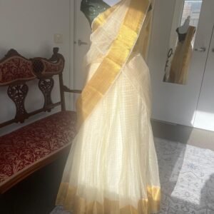 Tamara Lehenga - Organza dhawani set