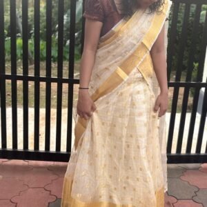 Tamara Lehenga - Organza dhawani set with Coffee Brown Banarasi Brocade blouse