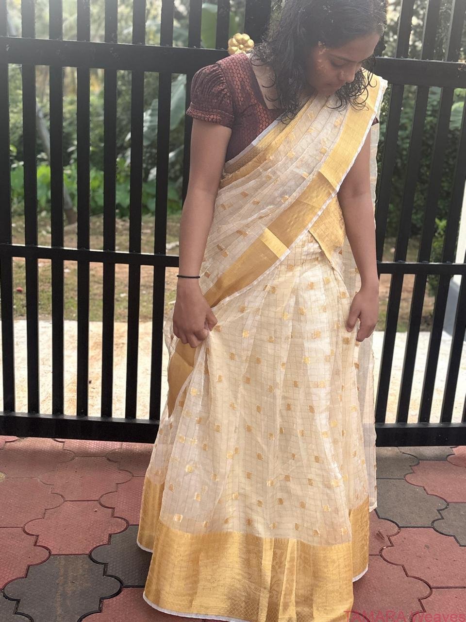 Tamara Lehenga - Organza dhawani set with Coffee Brown Banarasi Brocade blouse