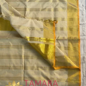 Tamara pure Premium handloom tissue saree with golden stripe saree wedding style- APARNA inspired
