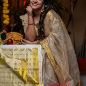 Tamara pure Premium handloom tissue saree with golden stripe saree wedding style- APARNA inspired