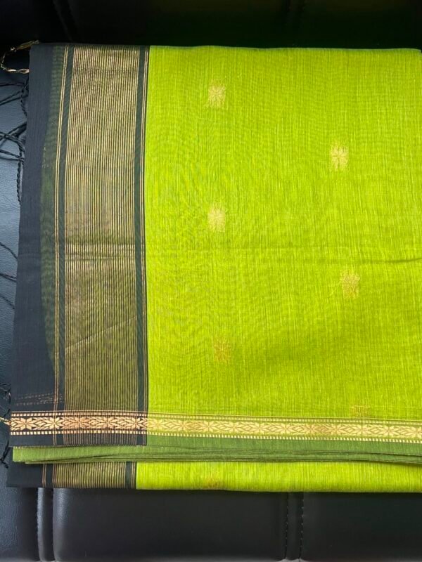Budget Maheshwari silk cotton saree - pista green with black
